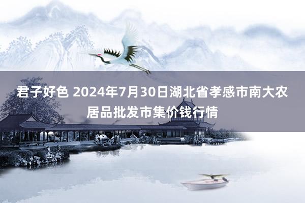 君子好色 2024年7月30日湖北省孝感市南大农居品批发市集价钱行情