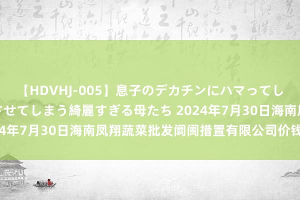 【HDVHJ-005】息子のデカチンにハマってしまい毎日のように挿入させてしまう綺麗すぎる母たち 2024年7月30日海南凤翔蔬菜批发阛阓措置有限公司价钱行情