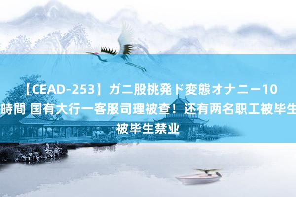 【CEAD-253】ガニ股挑発ド変態オナニー100人8時間 国有大行一客服司理被查！还有两名职工被毕生禁业