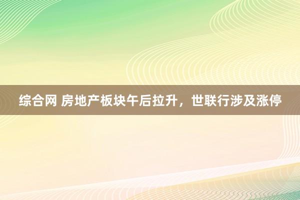 综合网 房地产板块午后拉升，世联行涉及涨停