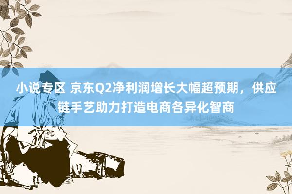 小说专区 京东Q2净利润增长大幅超预期，供应链手艺助力打造电商各异化智商