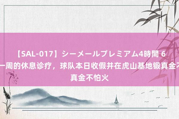 【SAL-017】シーメールプレミアム4時間 6 过程一周的休息诊疗，球队本日收假并在虎山基地锻真金不怕火