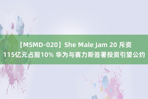 【MSMD-020】She Male Jam 20 斥资115亿元占股10% 华为与赛力斯签署投资引望公约